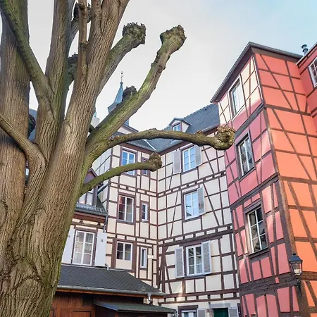 Mon - Cozy - Rbnb Strasbourg